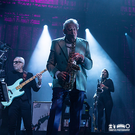 Roxy Music in concert