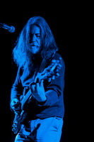 Pink Mountaintops in concert