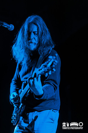 Pink Mountaintops in concert