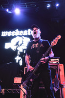 Weedeater in concert