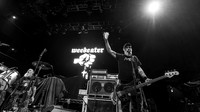 Weedeater in concert
