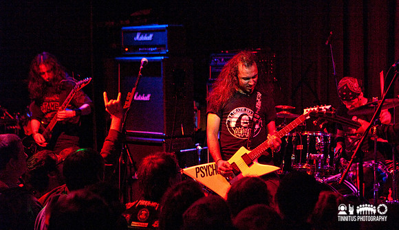 Acrassicauda in concert