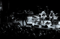 Jon Spencer in concert