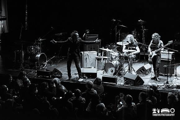 Jon Spencer in concert