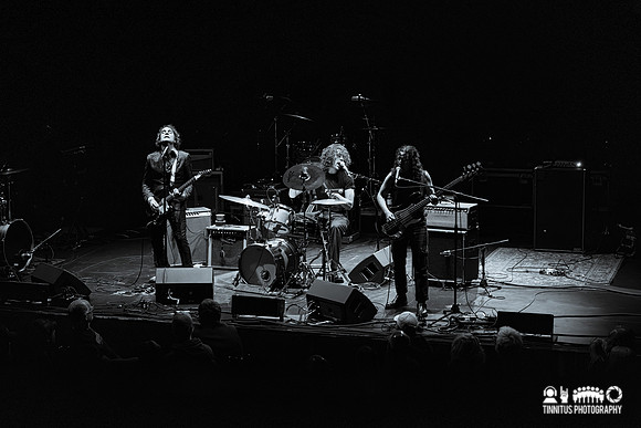 Jon Spencer in concert