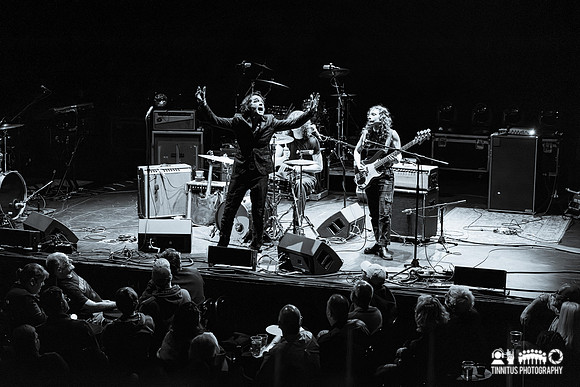 Jon Spencer in concert