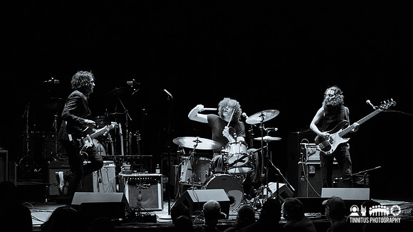 Jon Spencer in concert