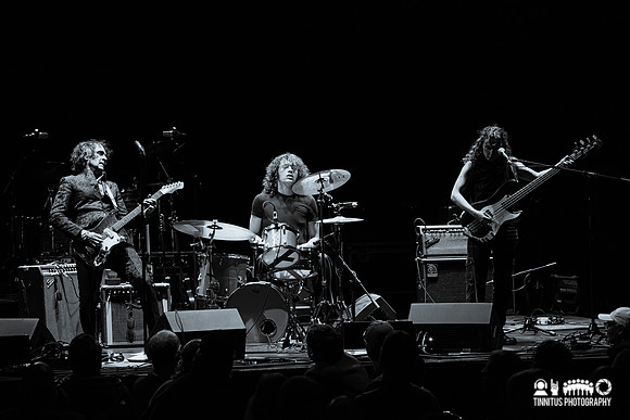 Jon Spencer in concert
