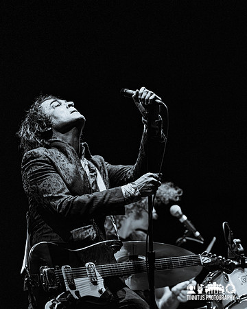 Jon Spencer in concert