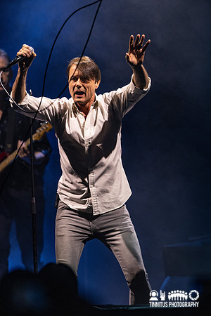 Suede in concert