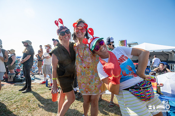 Newport Folk Festival fans
