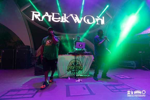 Raekwon and GZA in concert