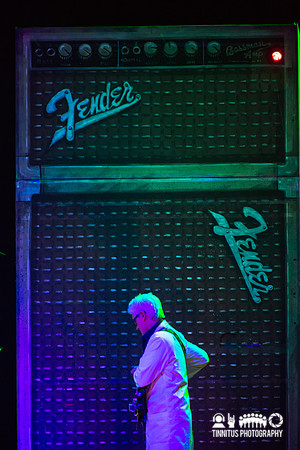 Neil Young and Crazy Horse in concert