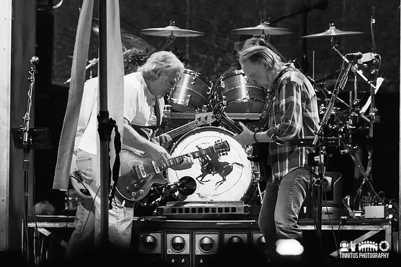Neil Young and Crazy Horse in concert