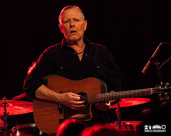 Swans in concert