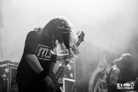 Cattle Decapitation in concert