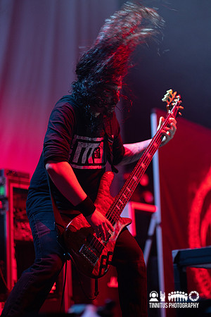 Cattle Decapitation in concert