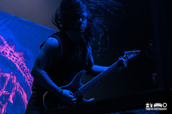 Cattle Decapitation in concert