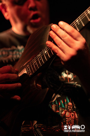 Gozu in concert