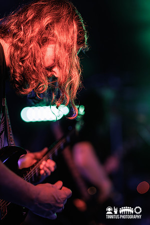 Elder in concert