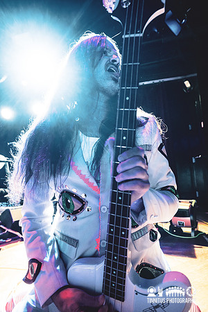 Melvins in concert