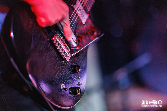 MSSV in concert