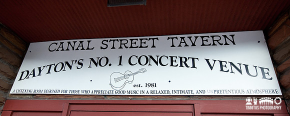 Buffalo Spiders in concert