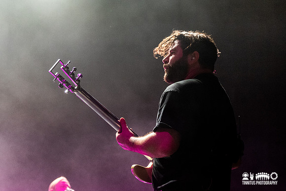 Foals in concert