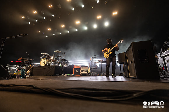 Foals in concert
