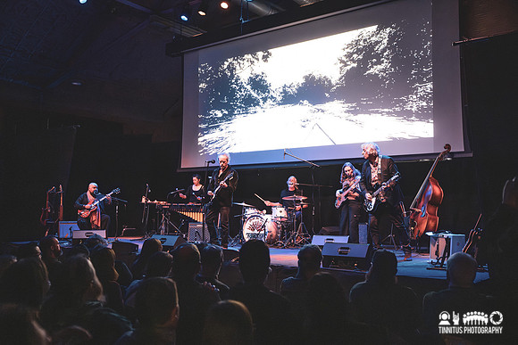 Drink The Sea in concert