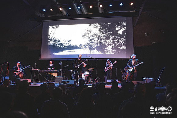Drink The Sea in concert