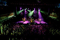 The Chats in concert