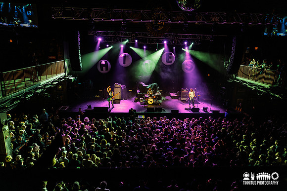 The Chats in concert