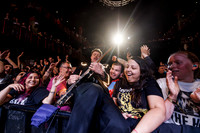 The Hives in concert
