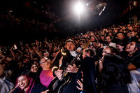 The Hives in concert