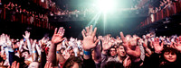 The Hives in concert