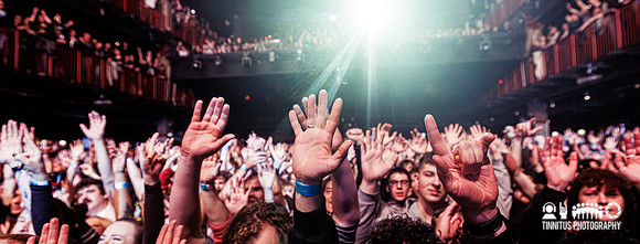 The Hives in concert