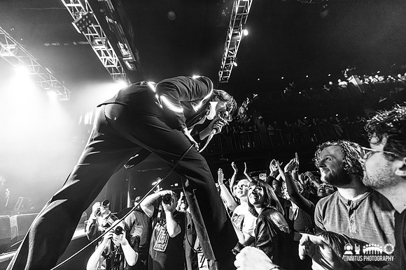 The Hives in concert