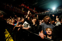 The Hives in concert
