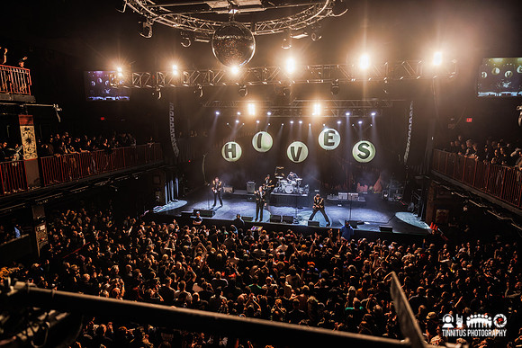 The Hives in concert