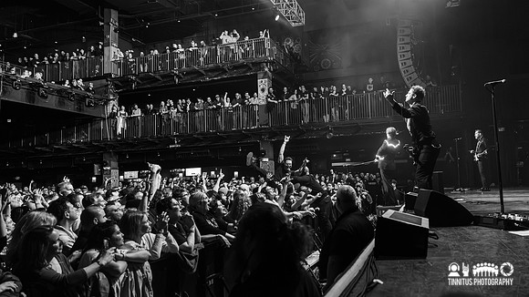 The Hives in concert