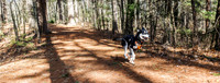 Dogs in the Goldsmith AVIS reservation