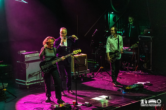 Ronboy in concert