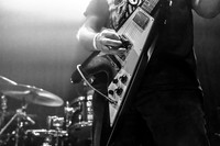 Party Nerves in concert