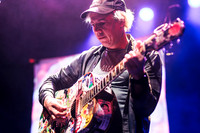 Jeffrey Lewis in concert