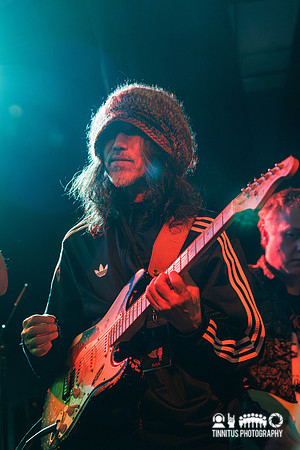 The Veldt in concert
