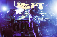 The Veldt in concert