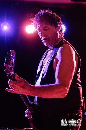 The Chameleons in concert