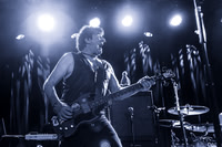 The Chameleons