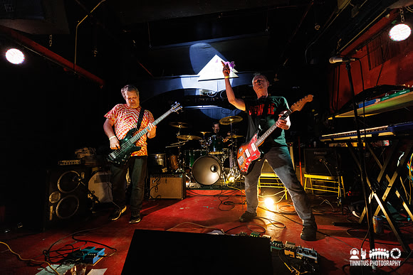Minibeast in concert